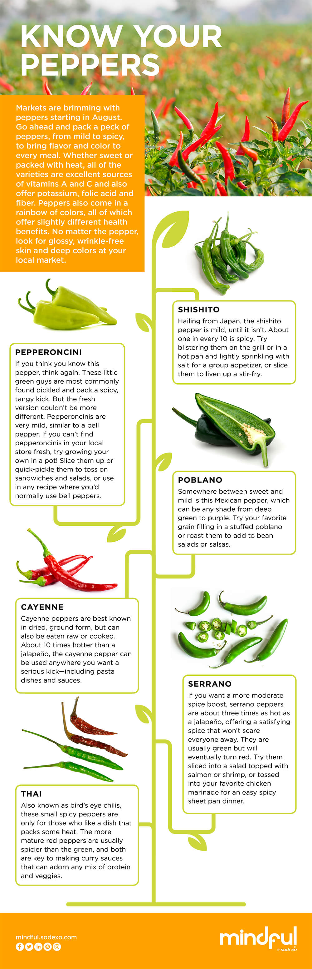 Know Your Peppers - Mindful by Sodexo - United Kingdom