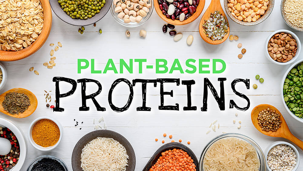 Plant-Based Proteins - Mindful by Sodexo